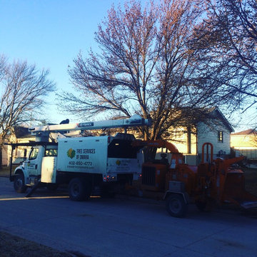 Ash Tree Removal Omaha