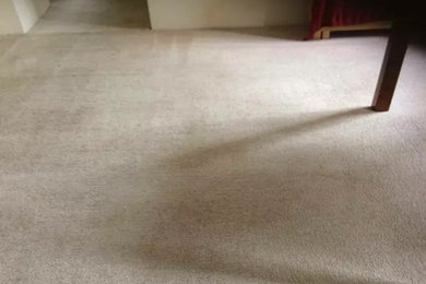 Best  Carpet Cleaning Services