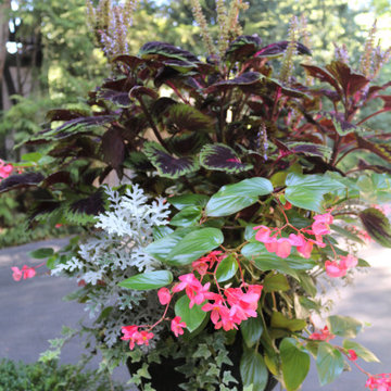 Seasonal Display