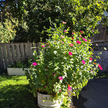 An Eco-conscious Garden: Permeable patio, walkway + Edible Garden