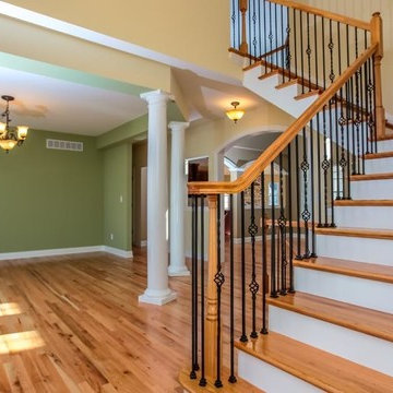 Willowdale Model