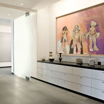 Art Collector's Home