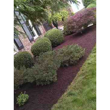 Alberto Alavez Professional Lawn Services LLC 5