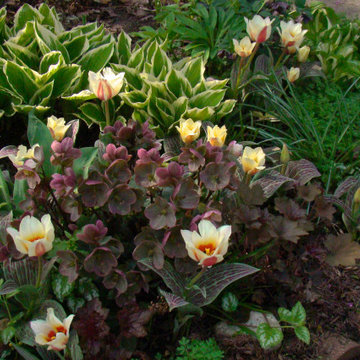 Small Garden Beds