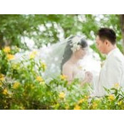 T.K. Feng's photo