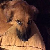 Emily Reale's photo