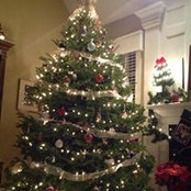 Terri Augustine's photo