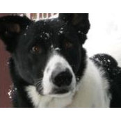 Sandra Glinski's photo