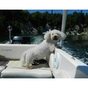Sean Cogan's photo