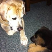Mary Kerr's photo