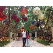 Brina Dhoomun-Rambocus's photo