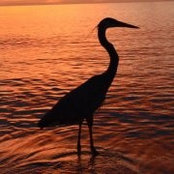 Nancy Mohler's photo