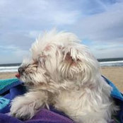 Randi Osetek's photo