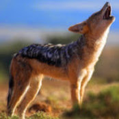 Jeffrey Loper's photo