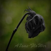Ahsas Flower's photo
