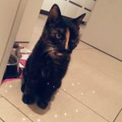 Nicole Schädeli's photo