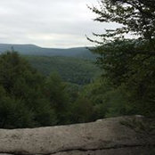 Foto von Chandler Gwilliam