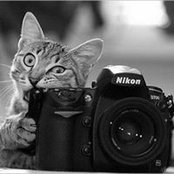 Yvonne Bélanger's photo