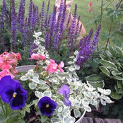 Darlene Treague's photo