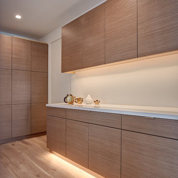 El Dorado Hills Modern Art Home