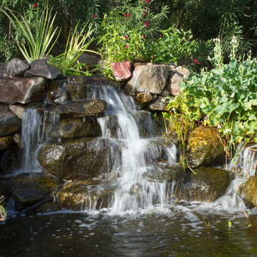 Ghandi Residence Backyard Ecosystem Pond in Scottsdale, AZ