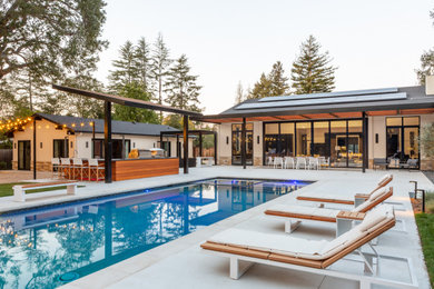 This is an example of an expansive modern front custom shaped natural swimming pool in San Francisco with with pool landscaping and concrete paving.