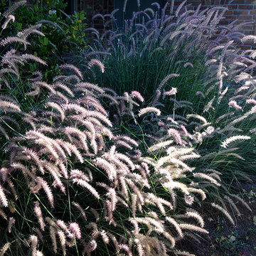 More Swaying Grasses