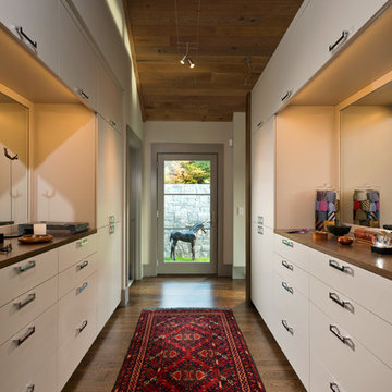 Contemporary Closet