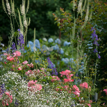 The Perennials of High Summer
