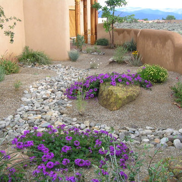 Custom Side-Yard Xeriscape