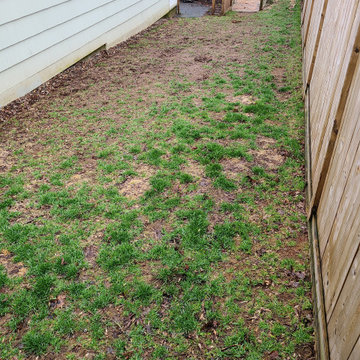Sherwood St Turf Job