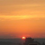 Sue Reed's photo