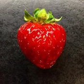 Stephen Mak's photo