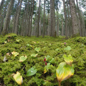 Jayna Brown's photo
