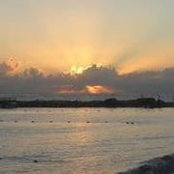 Foto von Debbie Godinez