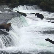Blair Martin's photo