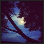 Holly Snow's photo