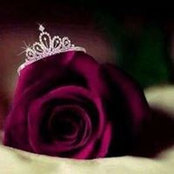 Dina Hamada's photo