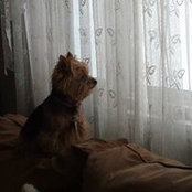 Debora Foland Bennett's photo