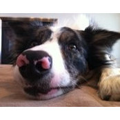 Jennifer McCaffery's photo