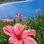 lisa favreau's photo