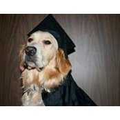 Lisa Doria-Cutting's photo