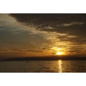 Nicole Racine's photo