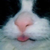 Christel Wagoner's photo