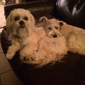 Debbie Deary's photo