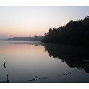 Laura Loos's photo