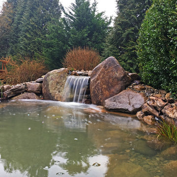 Winter Pond Build