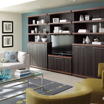 Entertainment Center