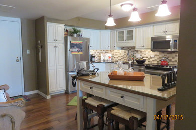 Kitchen - contemporary kitchen idea in Cedar Rapids