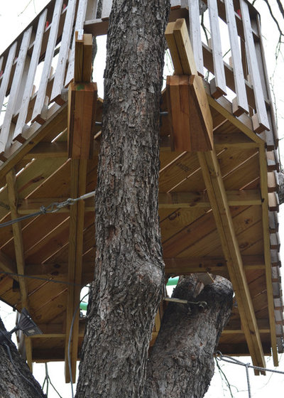 Eclectic  by Sarah Greenman